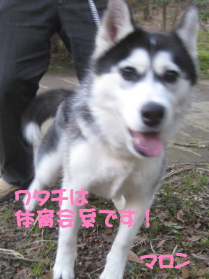 e0121548_19252747.jpg