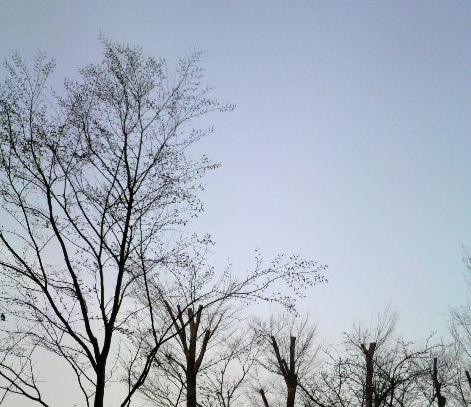 f0073848_139633.jpg
