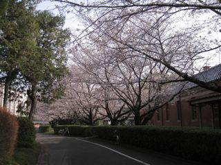 d0081650_731281.jpg
