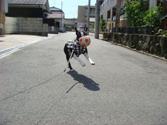 b0183452_21424420.jpg