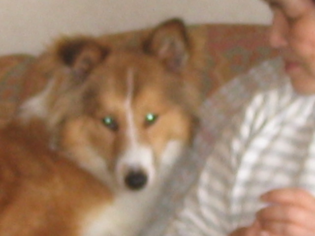a0140955_6374530.jpg