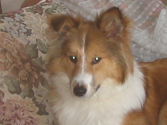 a0140955_6395735.jpg