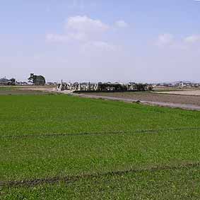 f0062055_15225668.jpg