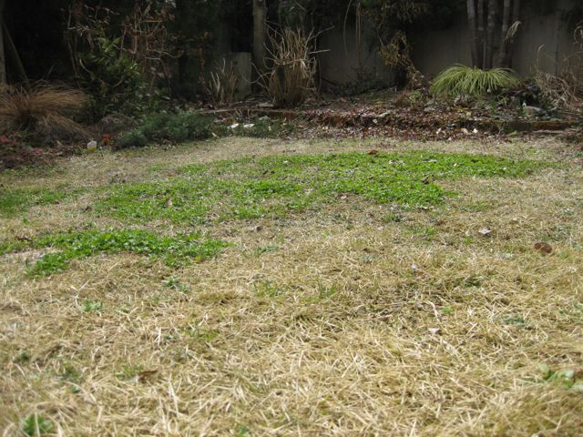 a0154962_10414271.jpg