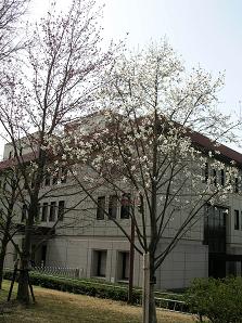 f0139963_23521776.jpg