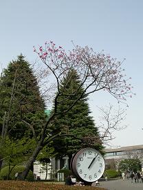 f0139963_23545731.jpg