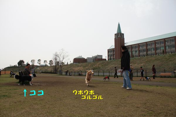 a0100564_19181829.jpg