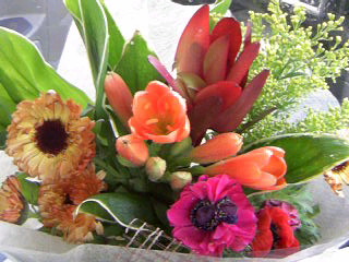 a0152665_039276.jpg