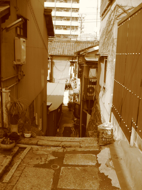 e0139165_12515031.jpg
