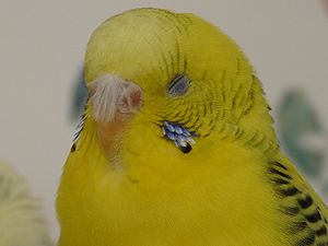 f0196665_040399.jpg