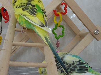 f0196665_0593080.jpg