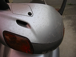 e0002466_1143548.jpg