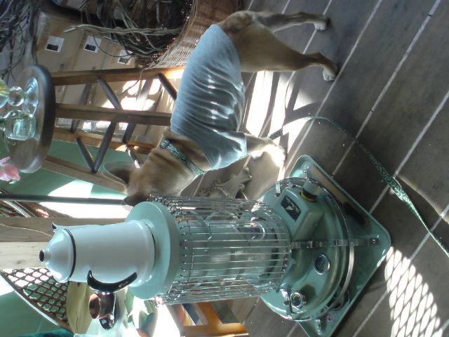 f0220768_16111315.jpg