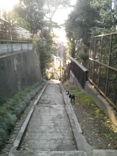 b0127669_1956461.jpg