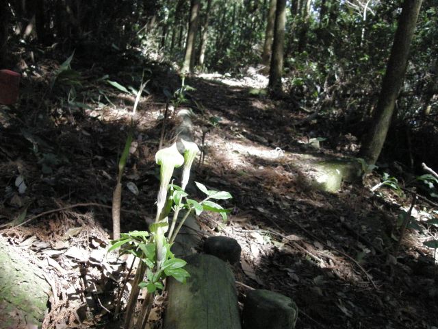 c0042869_19251876.jpg