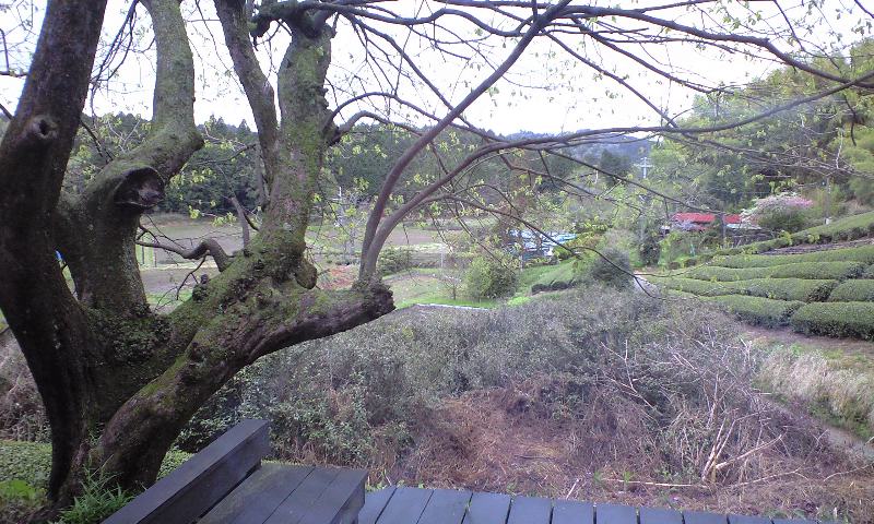 b0155370_05263.jpg