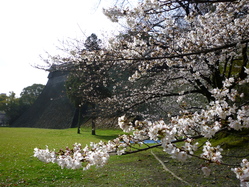 f0221382_1052475.jpg