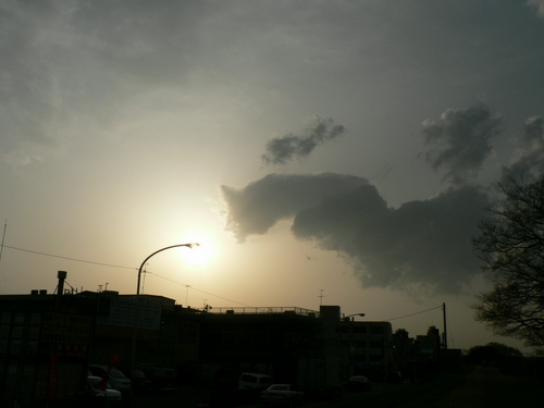 a0138387_13662.jpg