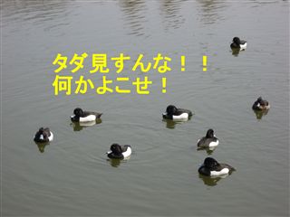 e0121589_1411527.jpg