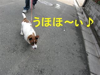 e0121589_1435032.jpg