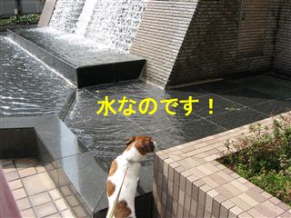 e0121589_1444155.jpg