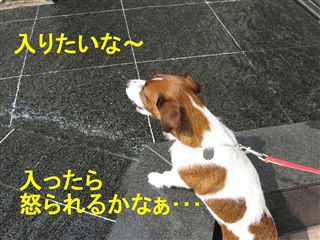 e0121589_145072.jpg
