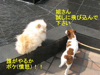 e0121589_1453551.jpg