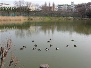 e0121589_1491599.jpg