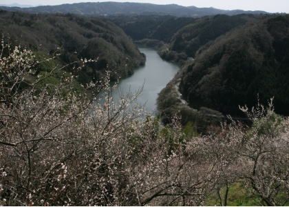 f0085889_1351235.jpg