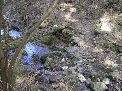 f0202990_0502048.jpg