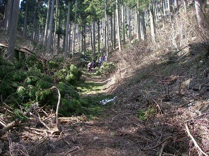 f0202990_135436.jpg