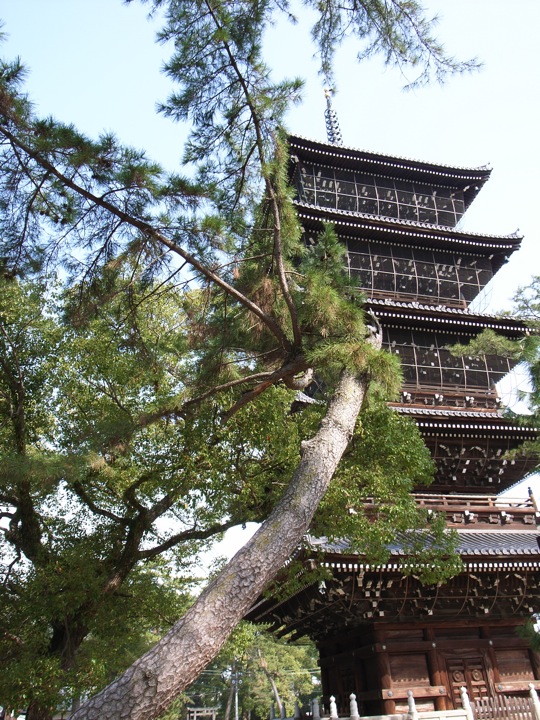 c0190391_9253971.jpg