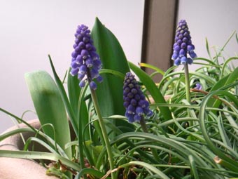 f0022292_2311686.jpg