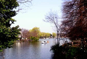 f0022292_23121157.jpg