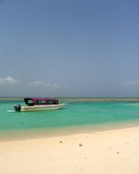 f0165392_2012190.jpg