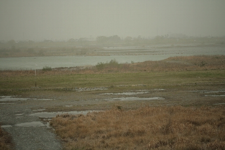 d0133693_2223496.jpg
