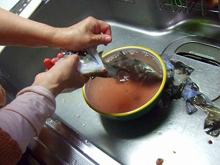 f0176194_9545831.jpg
