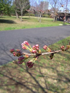f0114900_15364772.jpg