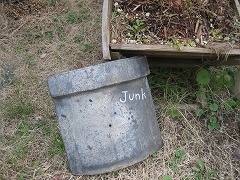 c0196701_16114517.jpg