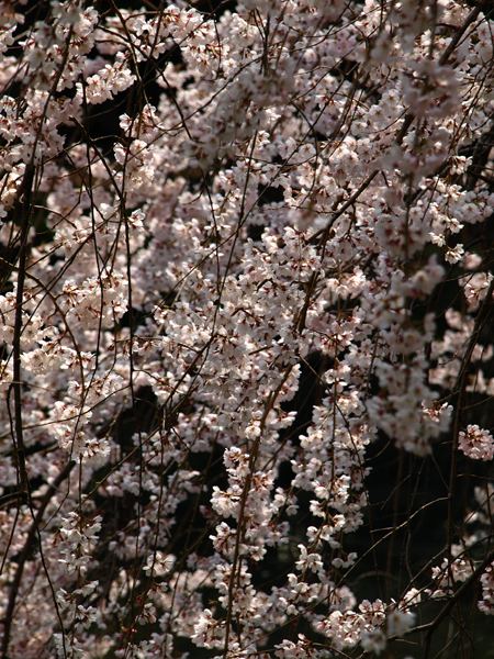 c0177502_22344891.jpg