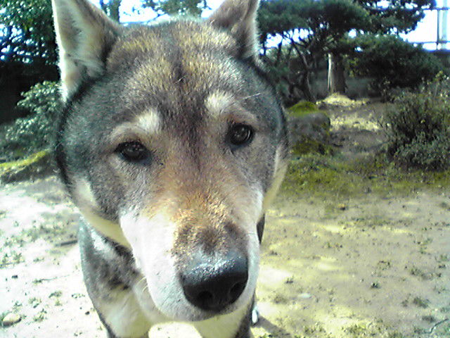 f0079202_10504041.jpg