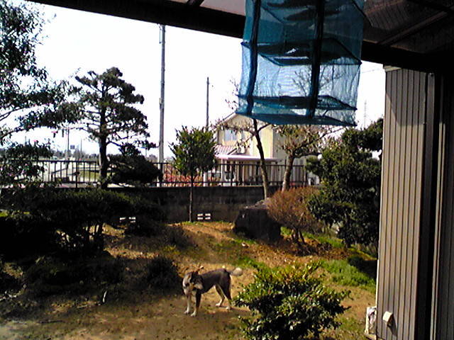 f0079202_1050406.jpg