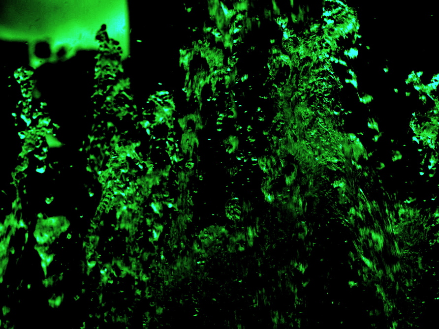 a0157704_156745.jpg