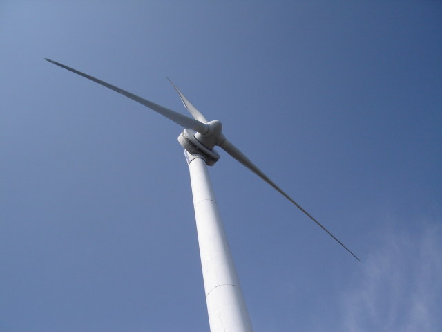a0116205_185648100.jpg