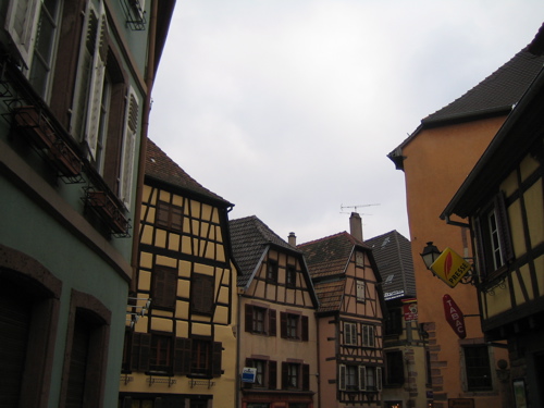 d0135907_991998.jpg