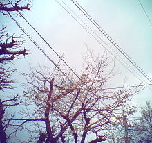 e0028810_9263246.jpg