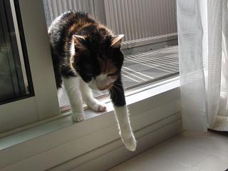 c0201113_1810398.jpg