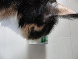 c0201113_18204648.jpg