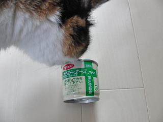 c0201113_18222771.jpg