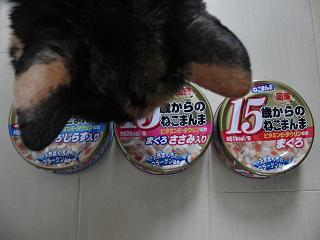 c0201113_182535100.jpg
